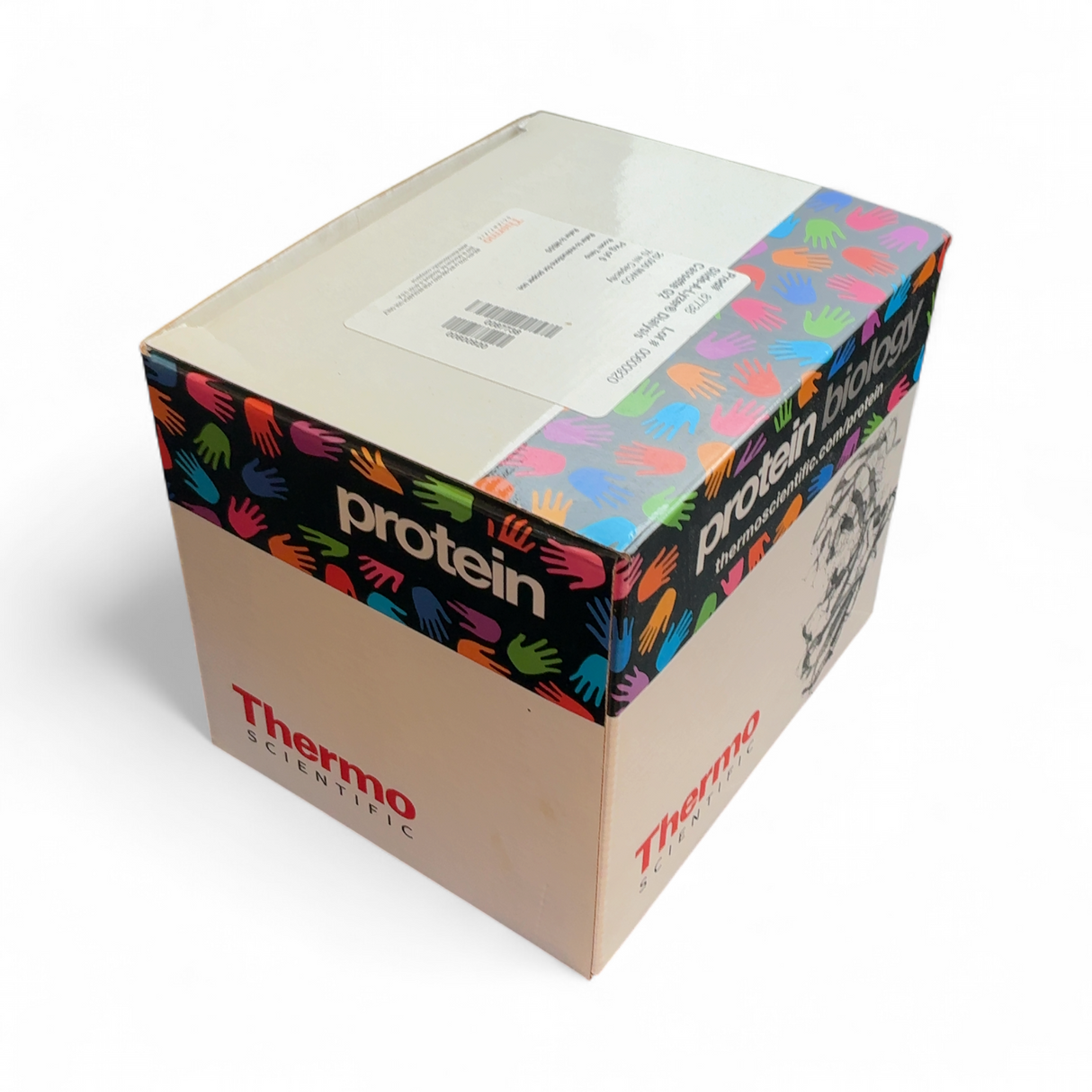 Thermo Scientific Slide-A-Lyzer Dialysis Cassette 20,000 MWCO 70 ml capacity ... | Safe & Secure Shipping - Image 3