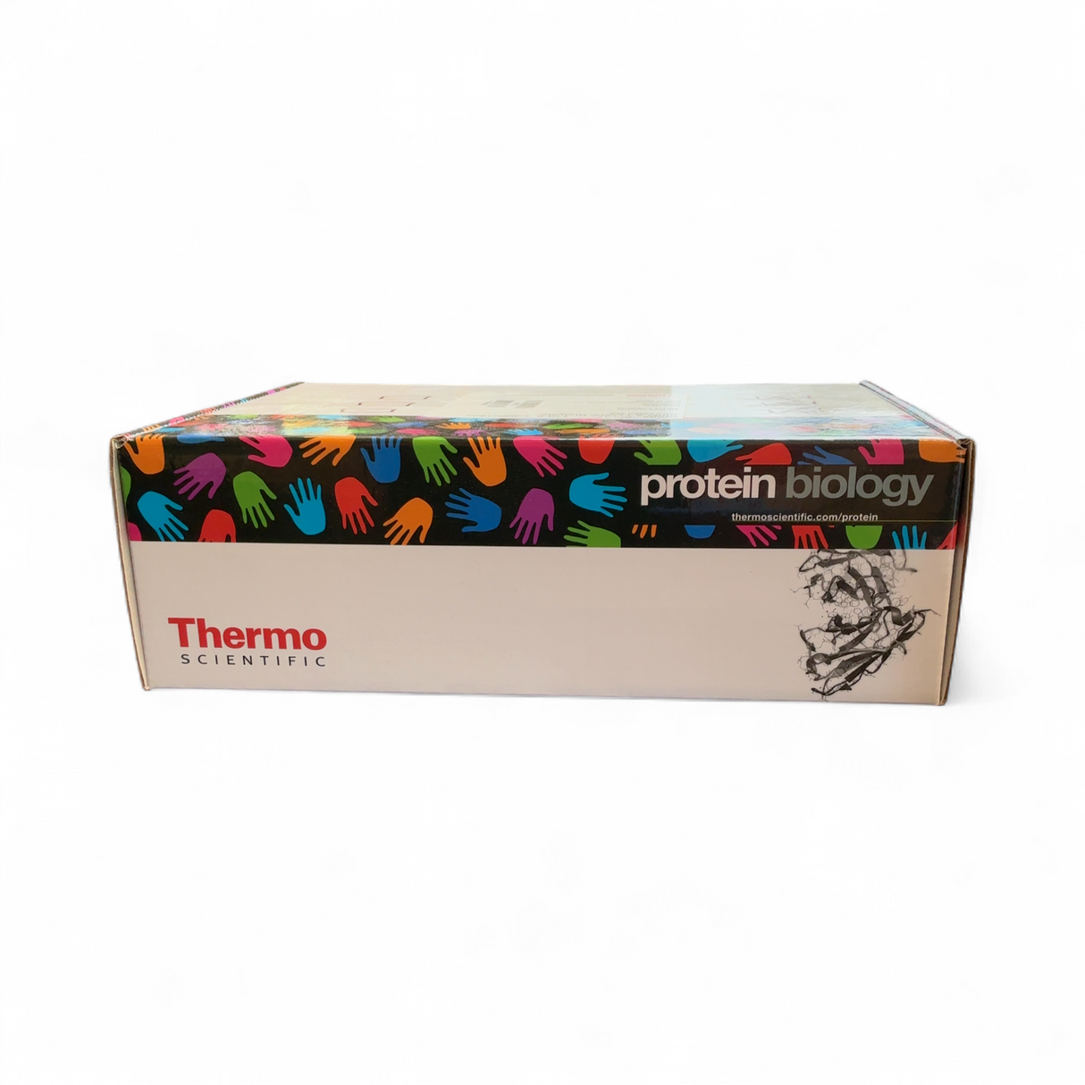 Thermo Scientific Slide-A-Lyzer Dialysis Cassette G2 20,000 MWCO 30 ml Capaci... | Safe & Secure Shipping - Image 3
