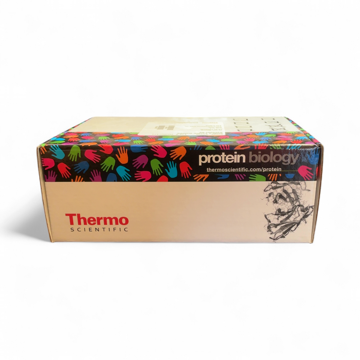 Thermo Scientific Slide-A-Lyzer Dialysis G2 20,000 MWCO 15 ml Capacity/ PN: 8... | Mr. Scientific - Image 3