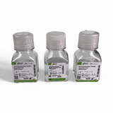 Gibco 100mL Cell Dissociation Buffer Enzyme-Free PBS-based 13151-014 - 3 Bottles (BO!) | Ships Fast from Mr. Scientific - Image 2