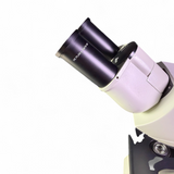 Leica DM500 Compound Microscope w/ 4x 10x 40x 100x Objectives HC PLAN S 10x/18 - Image 12