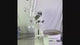 BÜCHI Rotavapor R-100 Evaporator System w B-100 Bath & Welch 2028 Vacuum Pump | Safe & Secure Shipping