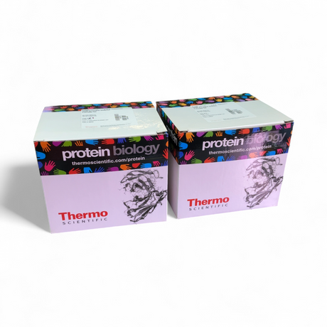 Thermo Scientific 20k MWCO 70mL Capacity Slide-A-Lyzer Dialysis Cassette G2 87738, 10 cassettes | Safe & Secure Shipping - Image 1