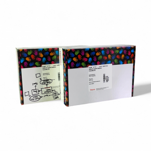 Thermo Scientific 87737 Slide-A-Lyzer Dialysis Cassettes Lot New Open Box | Mr. Scientific