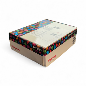 Thermo Scientific Pierce BCA Protein Assay Kit 23225 Protein Detection | Order Direct and Save