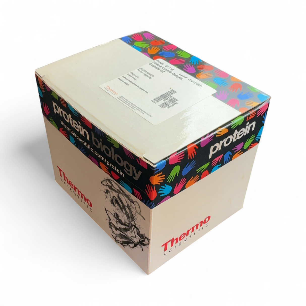 Thermo Scientific Slide-A-Lyzer Dialysis Cassette 20,000 MWCO 70 ml capacity ... | Safe & Secure Shipping - Image 2
