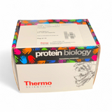 Thermo Scientific Slide-A-Lyzer Dialysis Cassette 66205 0.2-0.5mL - Image 7