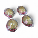 Thermo Scientific TX-400 4x400mL Swinging Bucket Lid - 4pcs 75003656 (BO!) | Mr. Scientific - Image 1